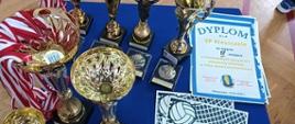 Stół z trofeami