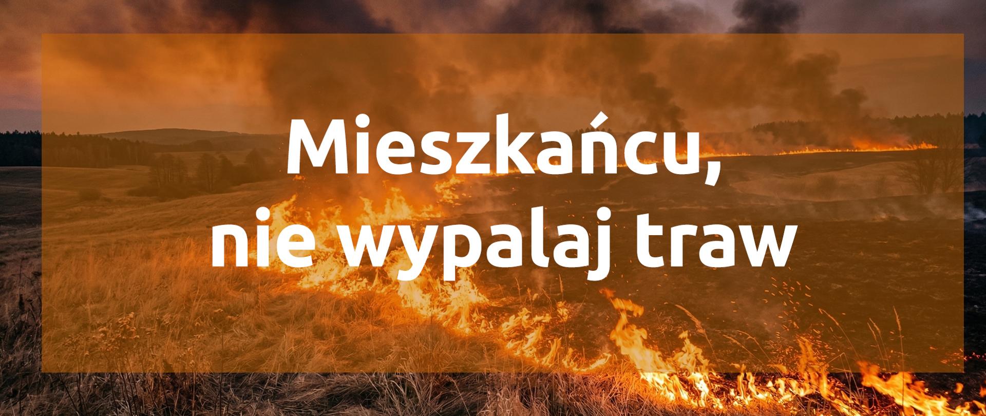 Mieszkańcu, nie wypalaj traw!