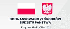Program Maluch+ 2021