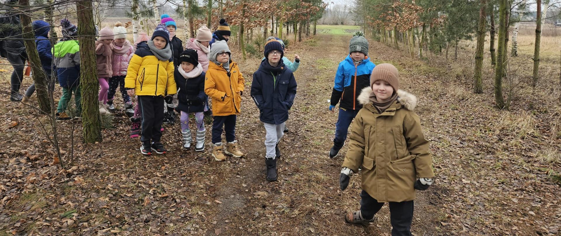 Przyrodę kochamy i o dokarmianiu zwierząt zimą pamiętamy