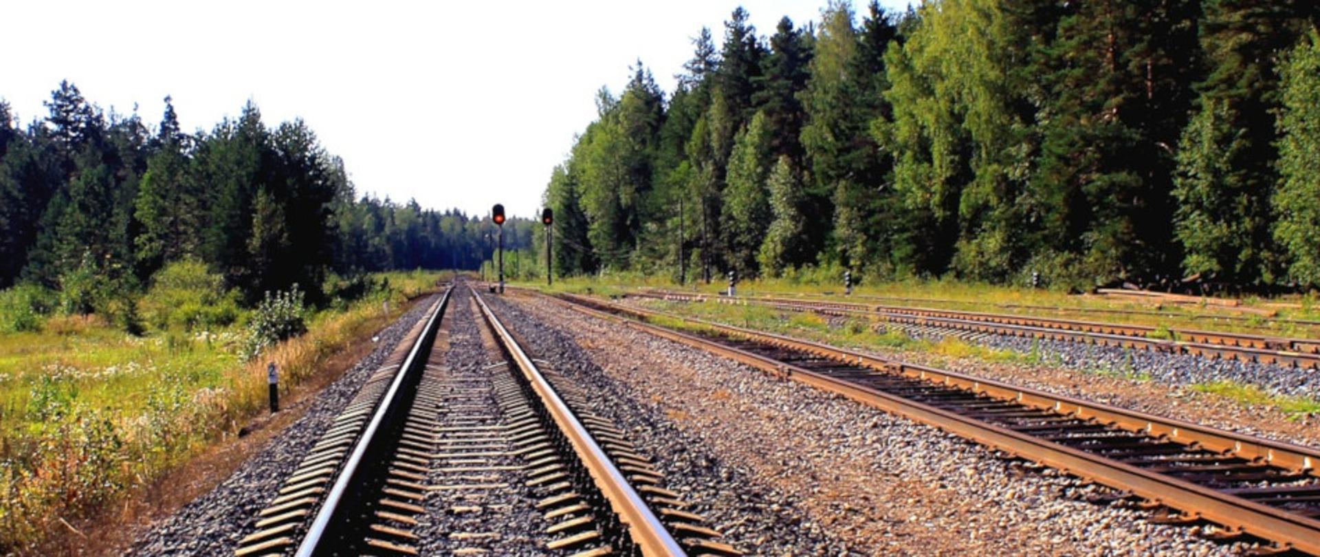 baner pkp - na zdjęciu widać tory kolejowe idące przez las