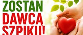 Plakat akcji "Zostań Dawcą Szpiku" zachęcający do rejestracji potencjalnych dawców szpiku kostnego z datami trzech festynów edukacyjnych w czerwcu 2026 roku.