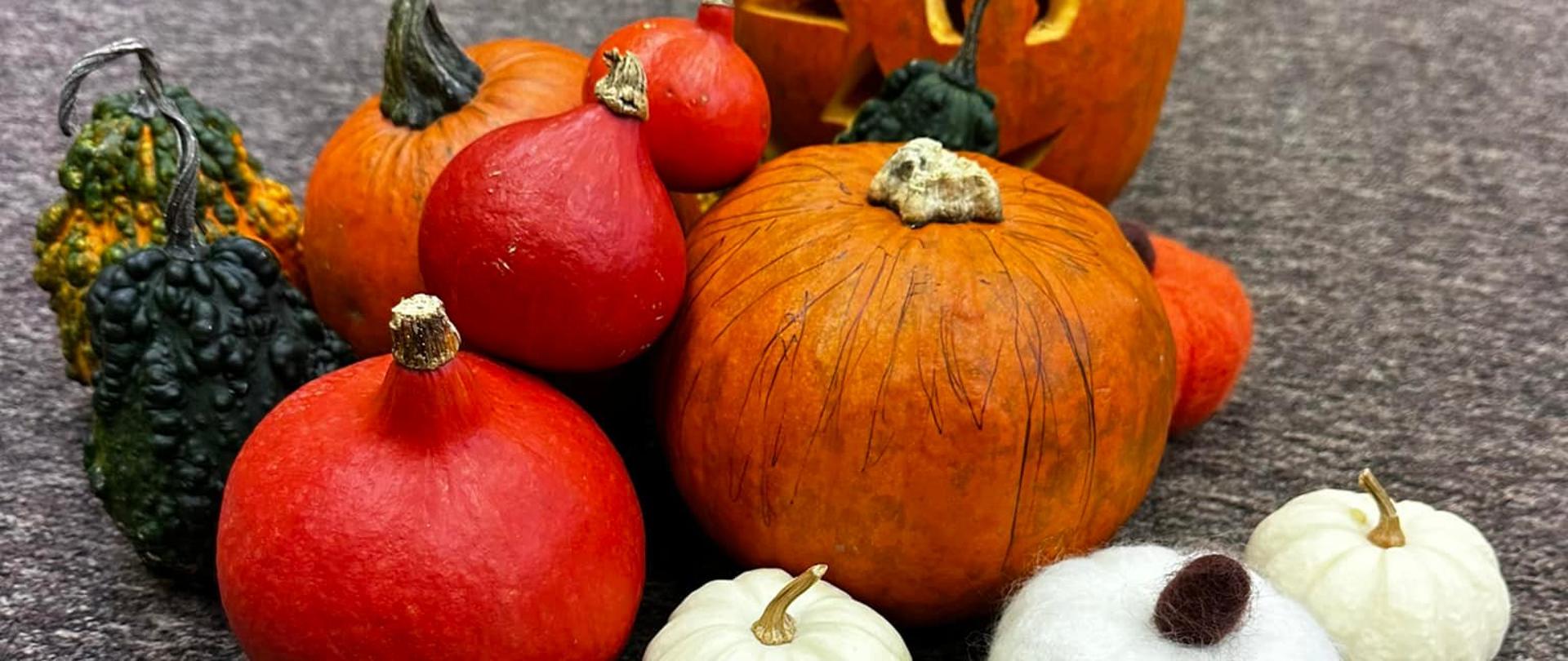 Pomarańczowe i białe dynie leżące na podłodze