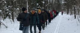 Zajęcia w terenie - grupa idzie leśną ścieżką