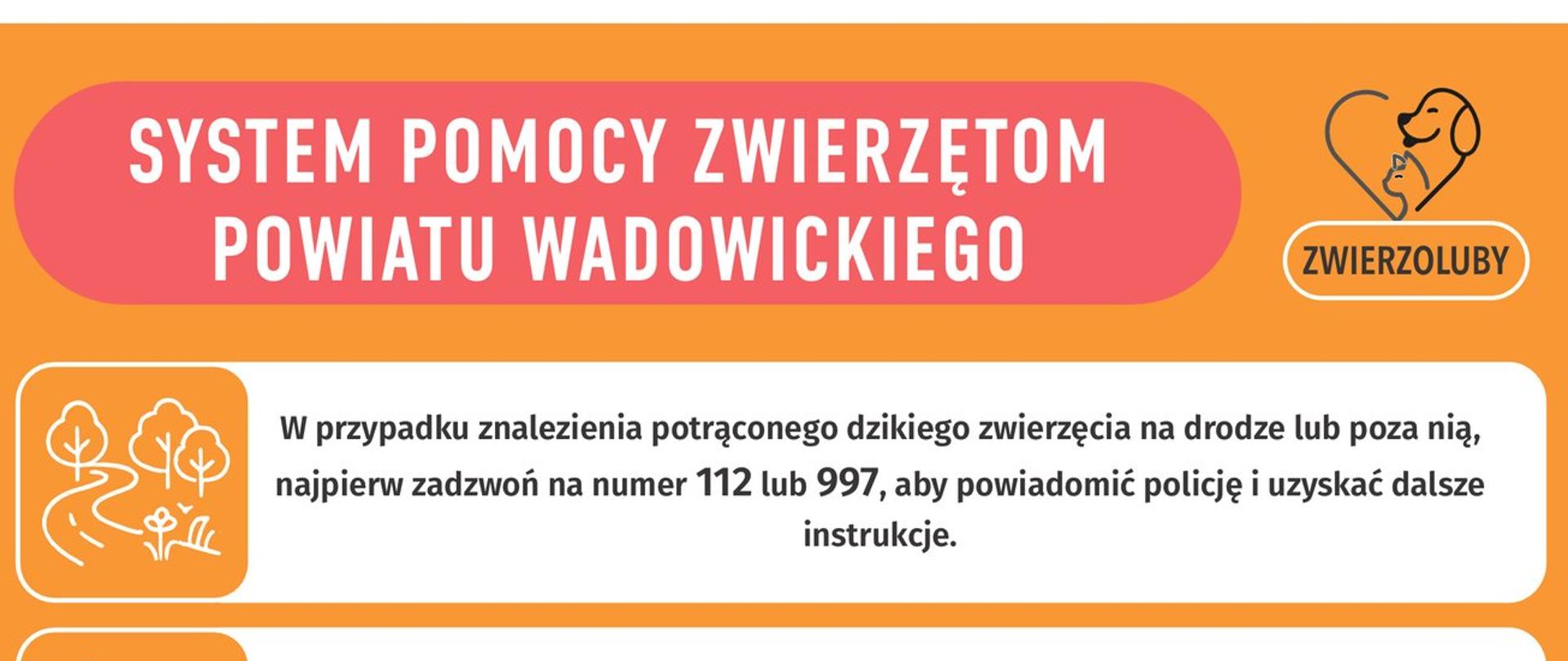 Nie bądź obojętny – reaguj na krzywdę zwierząt!