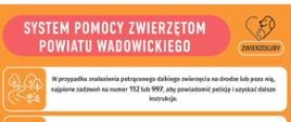 Nie bądź obojętny – reaguj na krzywdę zwierząt!