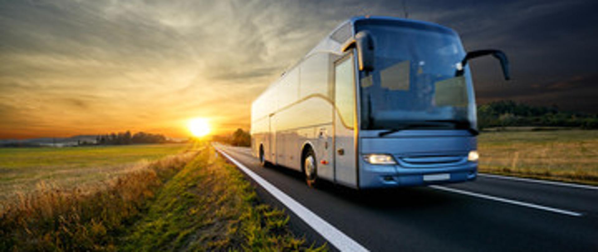 Grafika - autobus