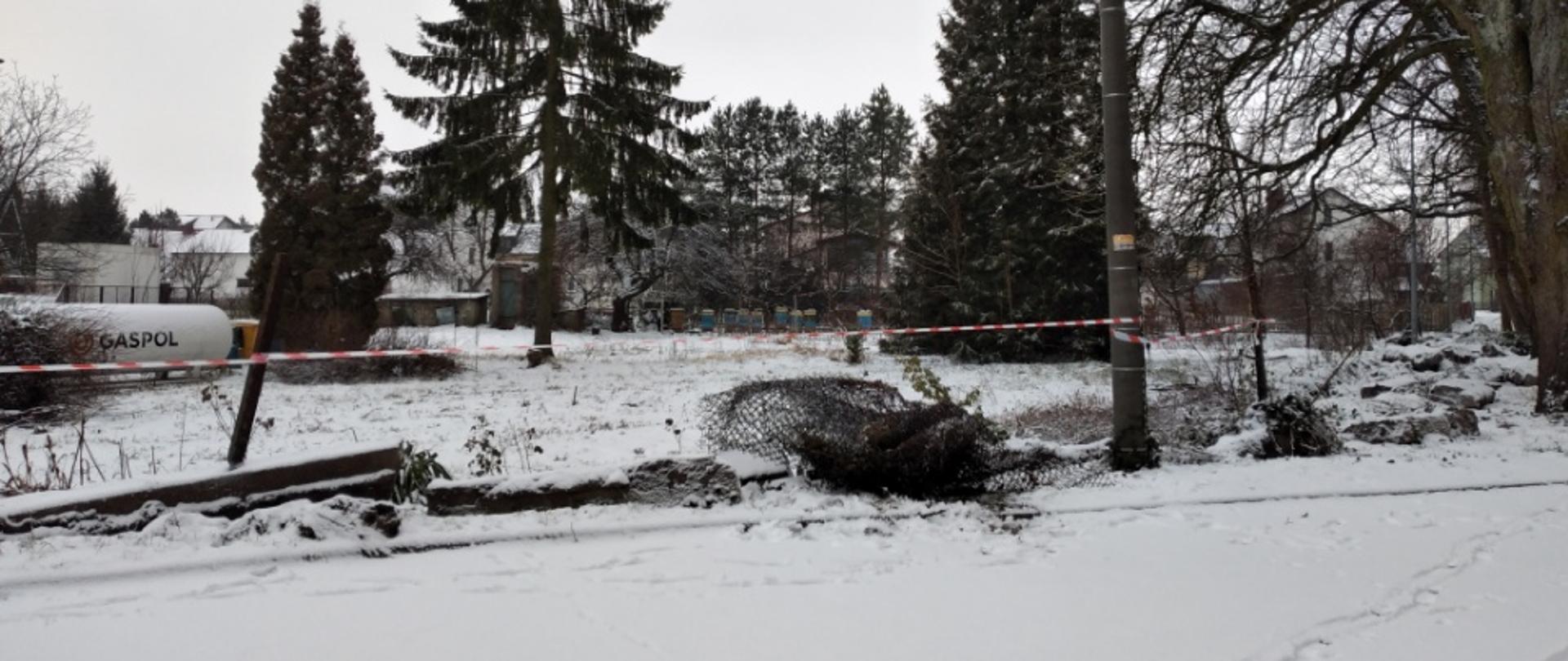 Zagospodarowanie terenu wokół budynku