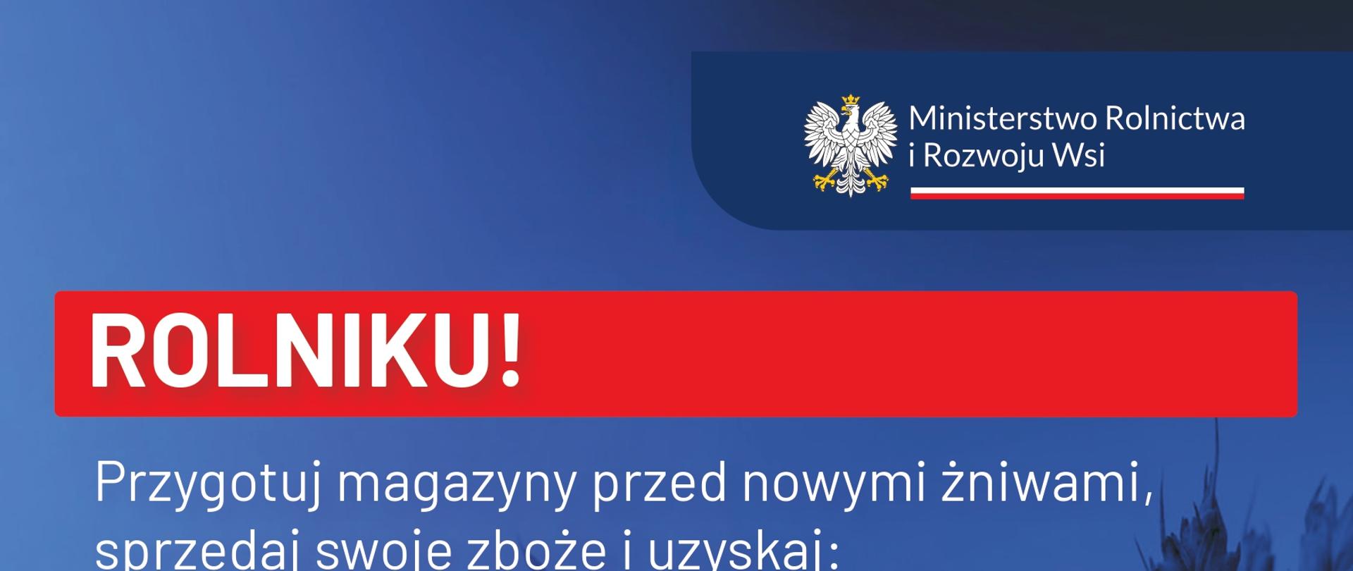 grafika przedstawia tekst z informacjami na temat sprzedaży zboża 