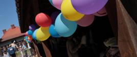 Dekoracje miejsca pikniku p balony z hasłem "zaopiekuj się mną"