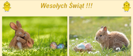 Zdjęcie przedstawia kartkę na której zawarte są życzenia oraz pod nimi podpis Wójta gminy oraz Przewodniczącego Rady gminy. Zawarte są również na kartce cztery zdjęcia związane z tym świętem przedstawiające króliki, pisklęta wraz z jajkami świątecznymi.