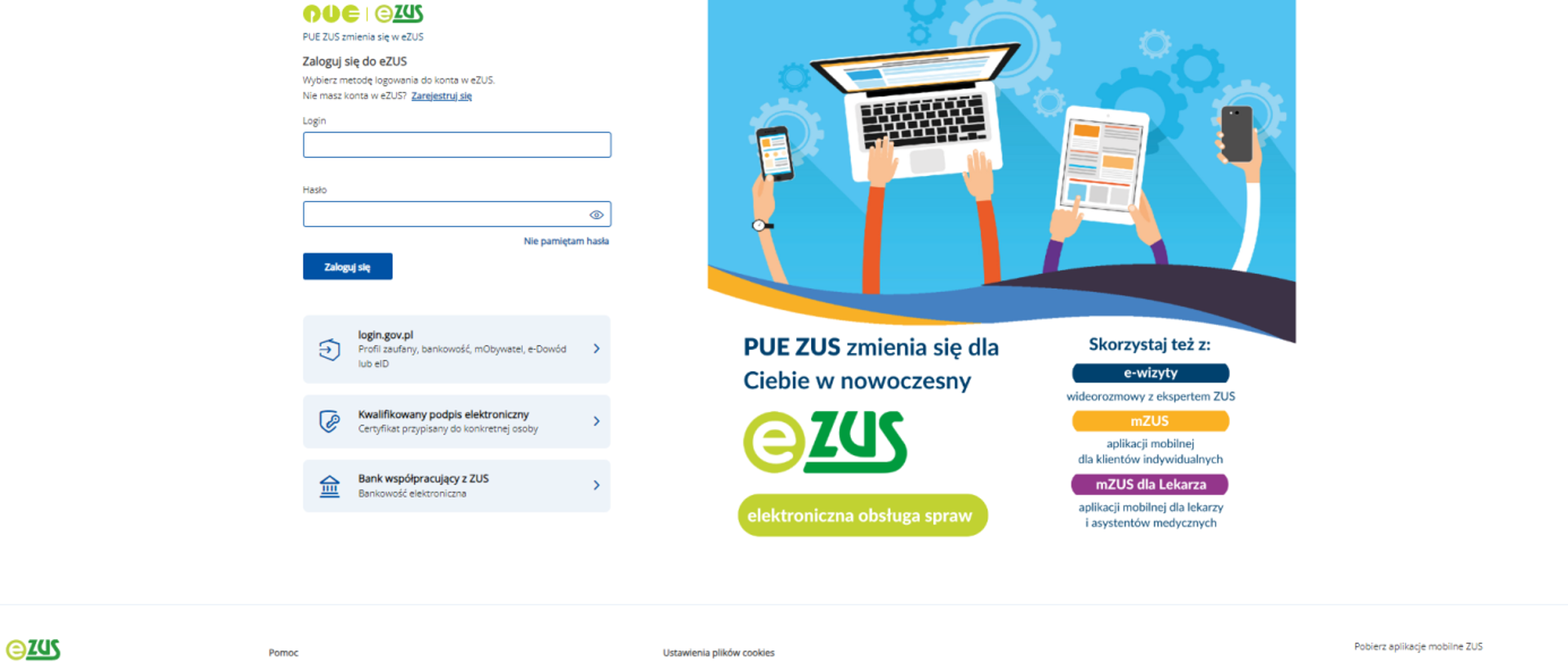 PUE - nowy ekran do logowania, zrzut ekranu