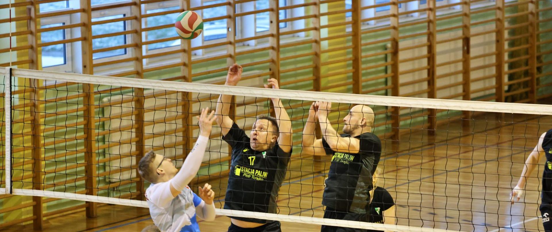 pasjonaci piłki siatkowej podczas rozgrywek w amatorskim turnieju