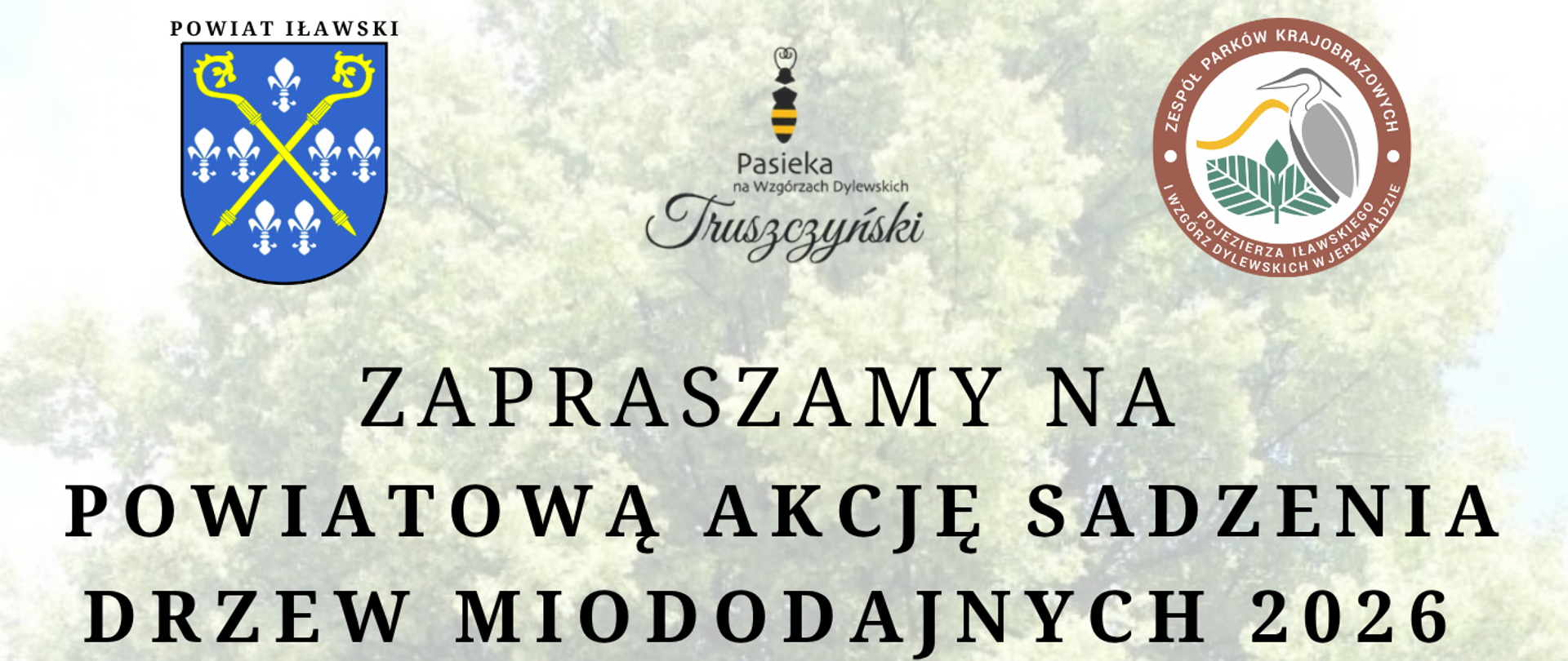 Akcja sadzenia drzew miododajnych