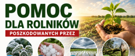 Plakat informuje o pomocy dla rolników poszkodowanych przez niekorzystne zjawiska pogodowe, takie jak przymrozki wiosenne, grad, deszcz nawalny i huragan. Grafika przedstawia młodą roślinę trzymaną w dłoniach na tle pola uprawnego oraz ilustracje symbolizujące poszczególne zagrożenia.