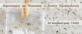 Warsztaty z Żywicy Epoksydowej 