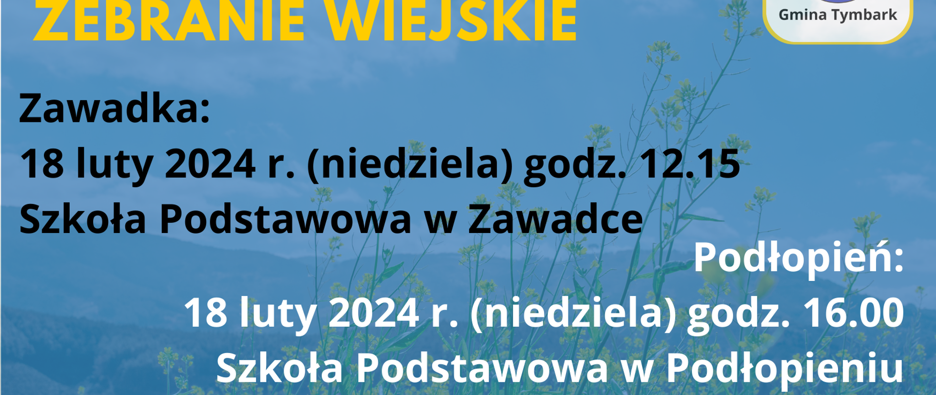 Zebranie wiejskie