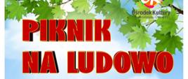plakat jest zaproszeniem na piknik widoczne jest błękitne niebo z zieloną trawą i białymi stokrotkami