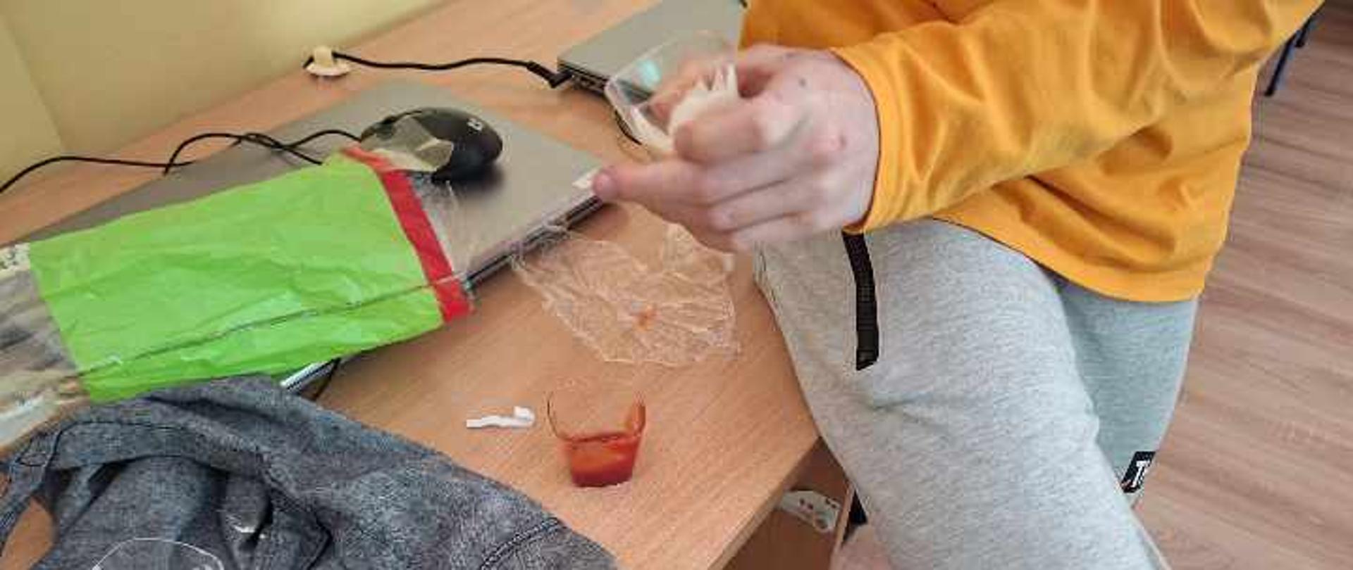 projekt
