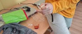 projekt