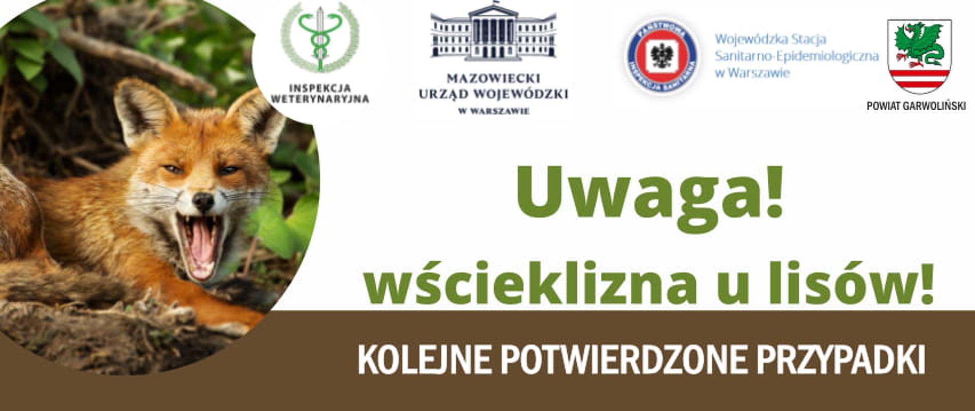 Wścieklizna u lisów - plakat informacyjny-kolejne potwierdzone przypadki 