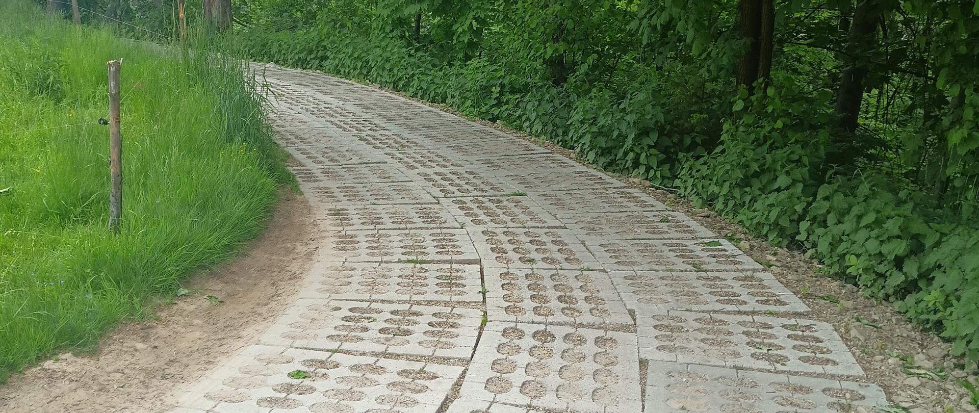 Modernizacja infrastruktury komunalnej – droga wewnętrzna na roli Stanikówka w Sieniawie
