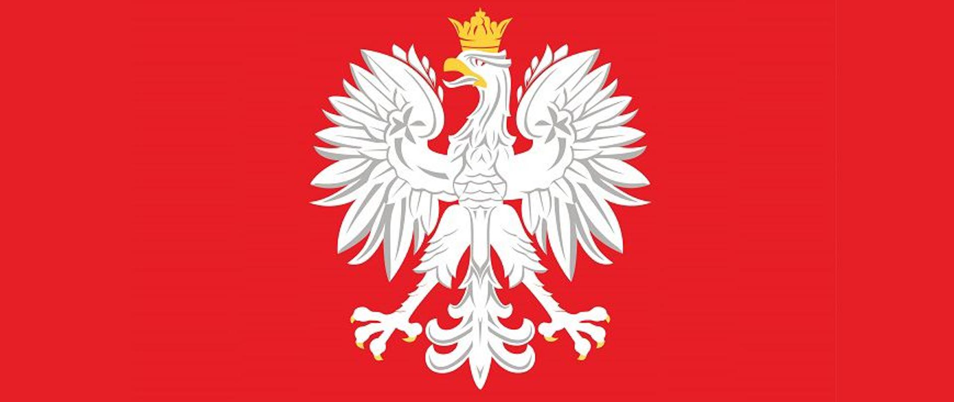 Orzeł