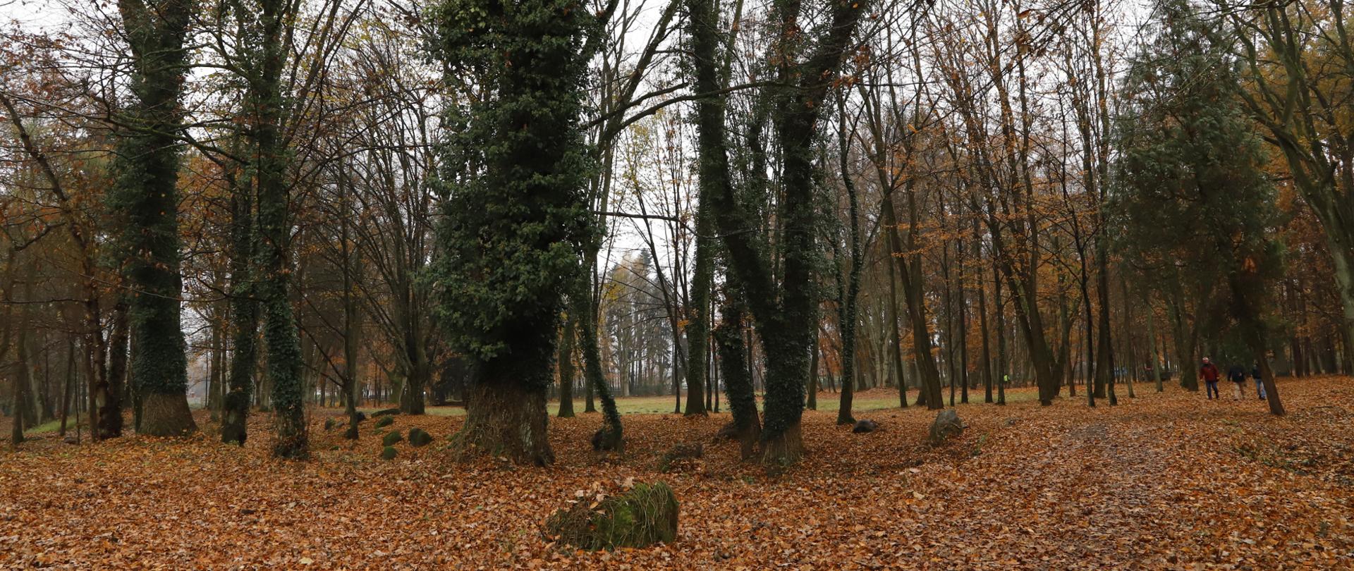 Zabytkowy Park przy Domu Pomocy Społecznej ,,Etola” w Rudzie Pilczyckiej po rewitalizacji 