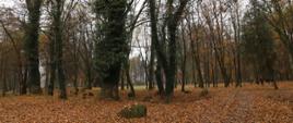 Zabytkowy Park przy Domu Pomocy Społecznej ,,Etola” w Rudzie Pilczyckiej po rewitalizacji 