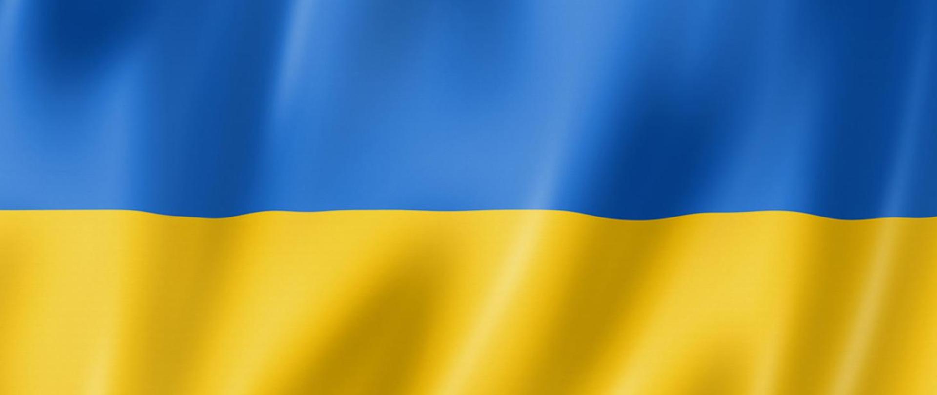 Flaga o barwach niebiesko-żółtych