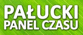 Pałucki Panel Czasu