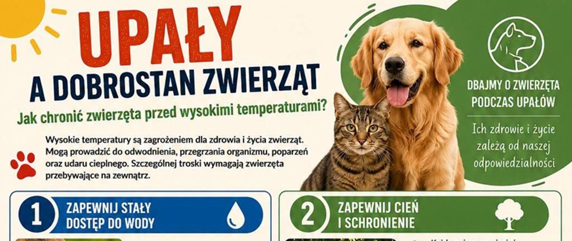 Infografika w języku polskim pt. „Upały a dobrostan zwierząt. Jak chronić zwierzęta przed wysokimi temperaturami?”. W górnej części znajdują się zdjęcia psa rasy golden retriever i kota oraz informacja, że zdrowie i życie zwierząt zależą od odpowiedzialności opiekunów. Poniżej przedstawiono sześć zasad postępowania podczas upałów: zapewnij zwierzętom stały dostęp do świeżej wody, cień i schronienie, nie zostawiaj ich w samochodzie, ogranicz aktywność w najgorętszych godzinach dnia, zwróć szczególną uwagę na zwierzęta przebywające na zewnątrz oraz pamiętaj o obowiązujących przepisach dotyczących ochrony zwierząt. Każdy punkt ilustrują zdjęcia i piktogramy. Na dole infografiki znajduje się apel o reagowanie na przypadki zaniedbania zwierząt oraz numery alarmowe i kontakt do organizacji zajmujących się ich ochroną.