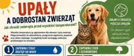 Infografika w języku polskim pt. „Upały a dobrostan zwierząt. Jak chronić zwierzęta przed wysokimi temperaturami?”. W górnej części znajdują się zdjęcia psa rasy golden retriever i kota oraz informacja, że zdrowie i życie zwierząt zależą od odpowiedzialności opiekunów. 