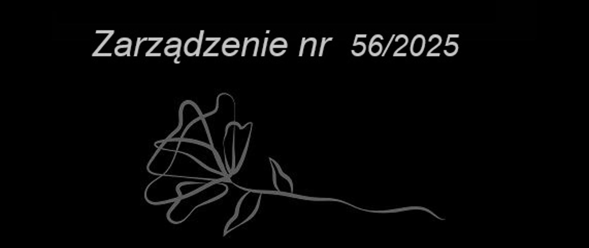 Grafika czarne tło napis Zarządzenie nr 56/2025 pod napisem kwiat w odcieniu szarości.