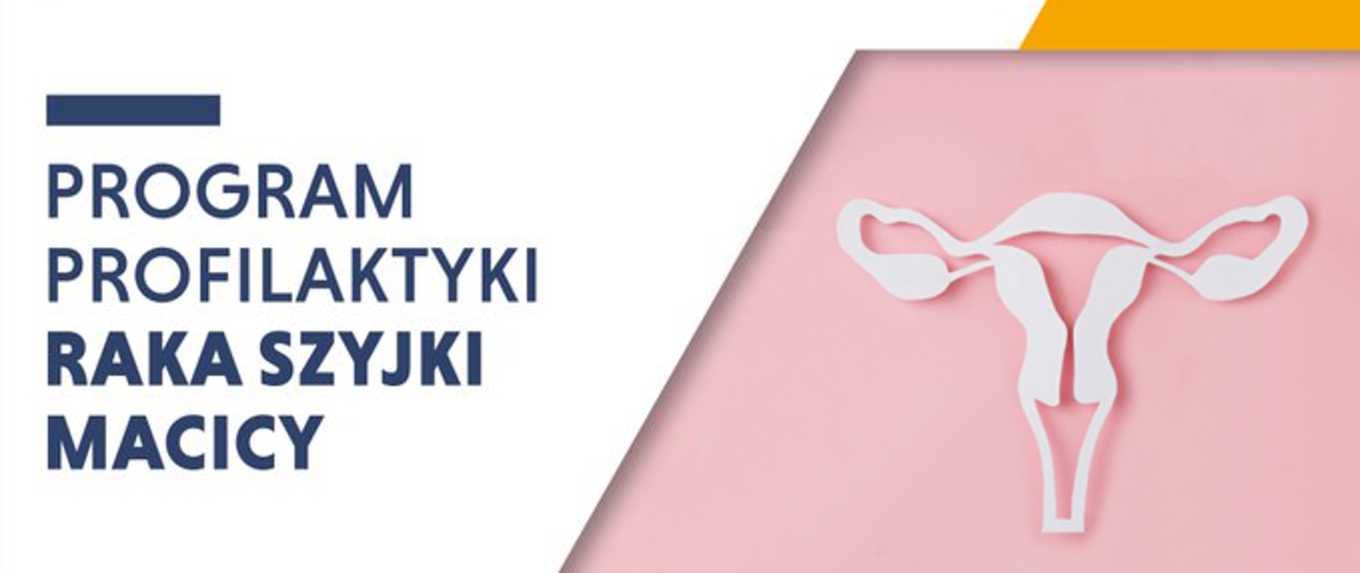 grafika informacyjna programu profilaktyki raka szyjki macicy