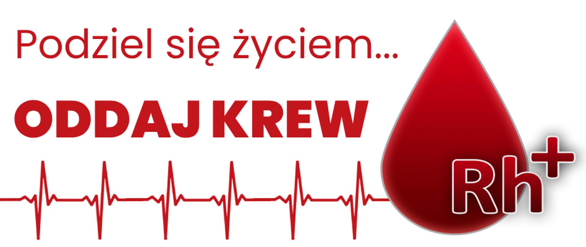 Na banerze widzimy kroplę krwi z napisem rh+, linię tętna i napis: podziel się życiem, oddaj krew.