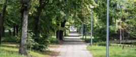Park Niepodległości w Piastowie - ścieżka przez park