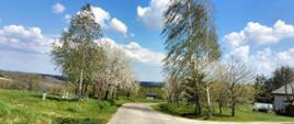 Wiosna w gminie Lubenia