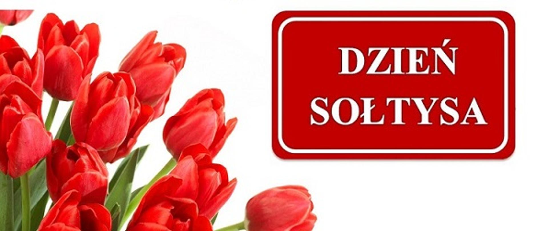 Dzień sołtysa