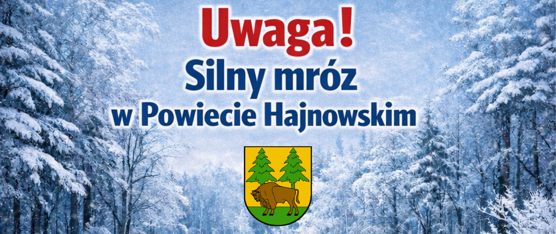 Na tle zimowego lasu umieszczono piktogramy z zaleceniami dla ludności (informacje zawarte w artykule)
