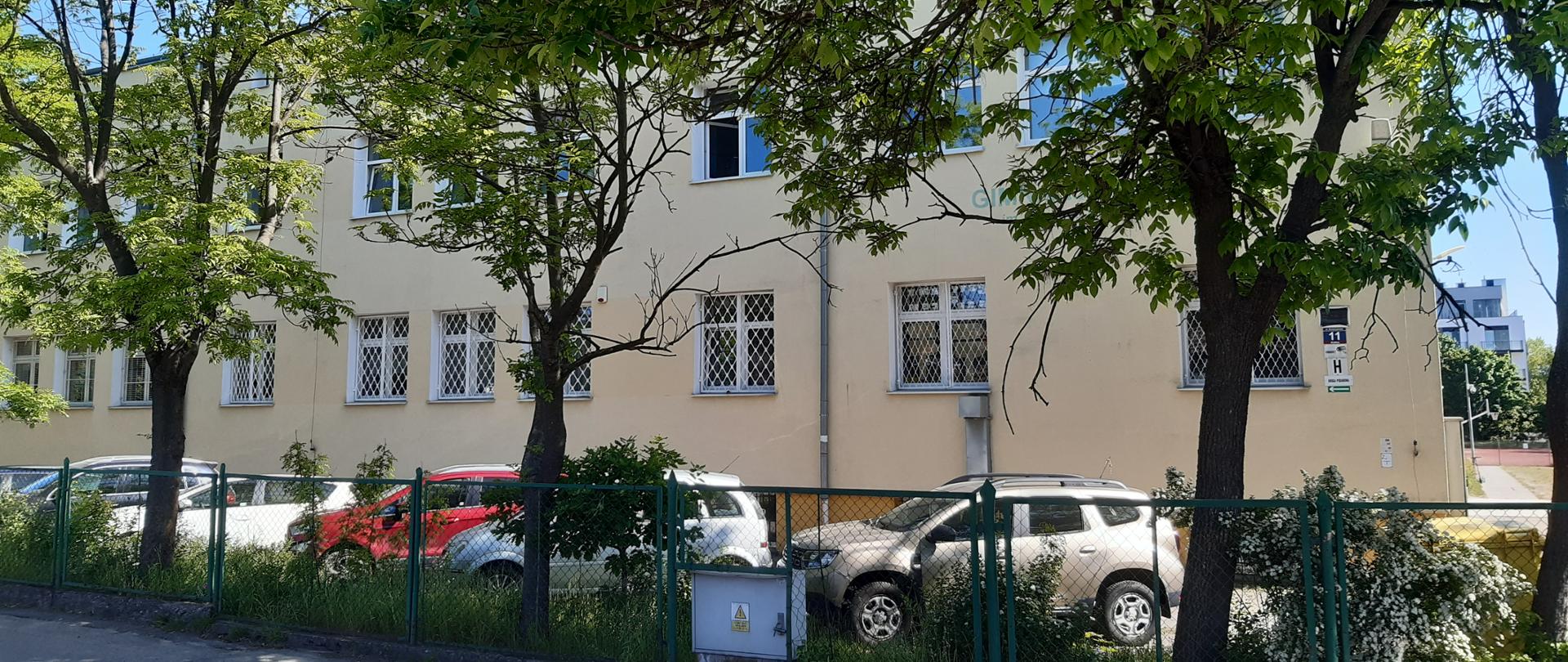 Świętojańskiej