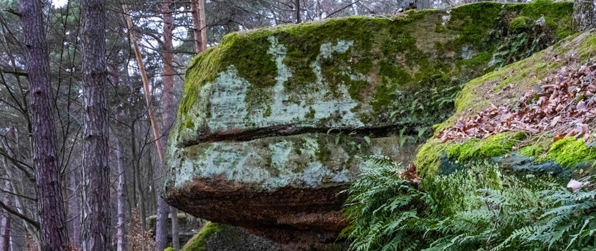 Bogactwo nie całkiem dostrzegane