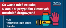 Niezbędnik kierowcy w podróży. 