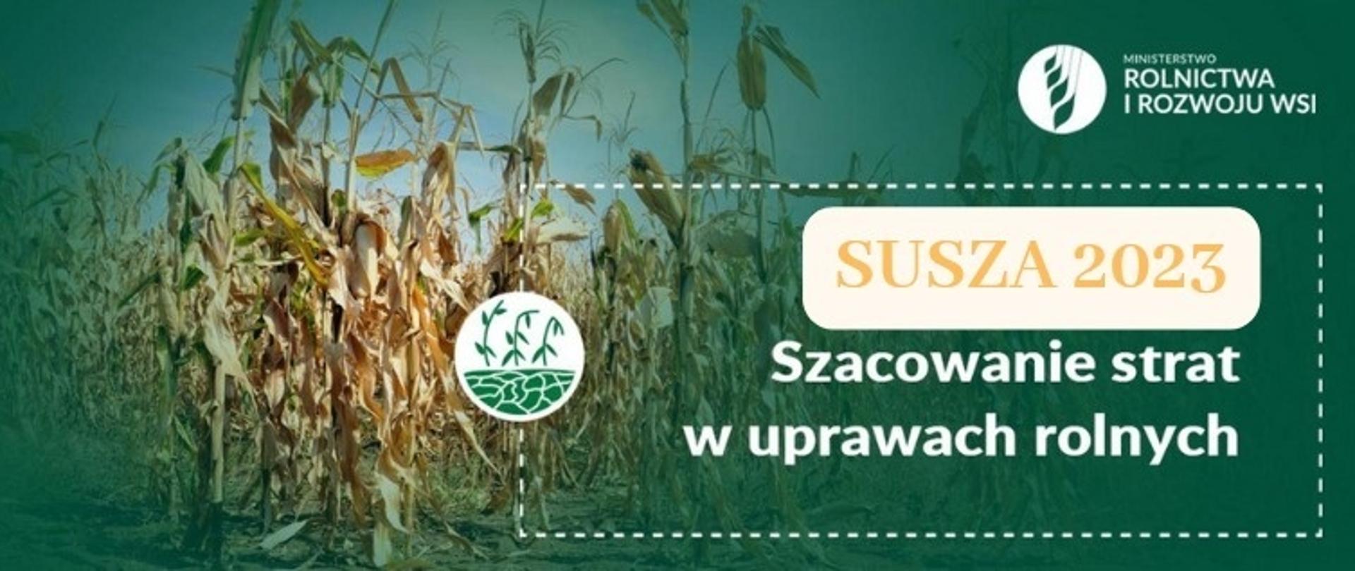Susza 2023 Szacowanie strat w uprawach rolnych