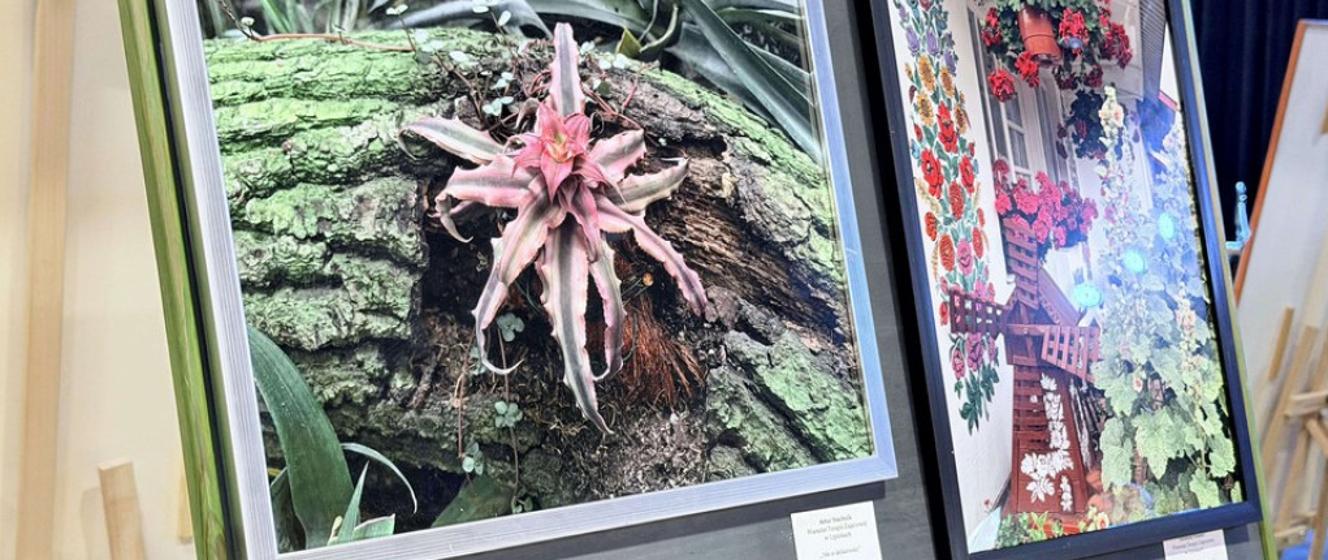 Rozstrzygnięto XVI konkurs fotograficzny Tajemnica kwiatów w Gorlicach