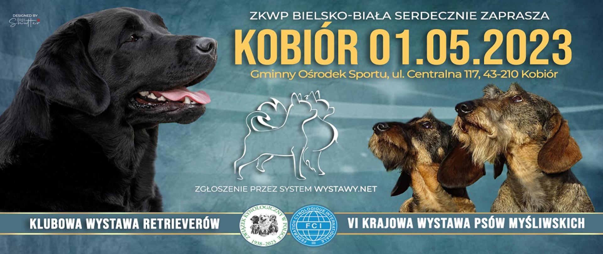 Baner krajowej wystawy psów na którym widać głowy trzech psów oraz informację o tym że wystawa odbędzie się w Kobiórze na Gminnym Ośrodku Sportu 1.05.2023 roku