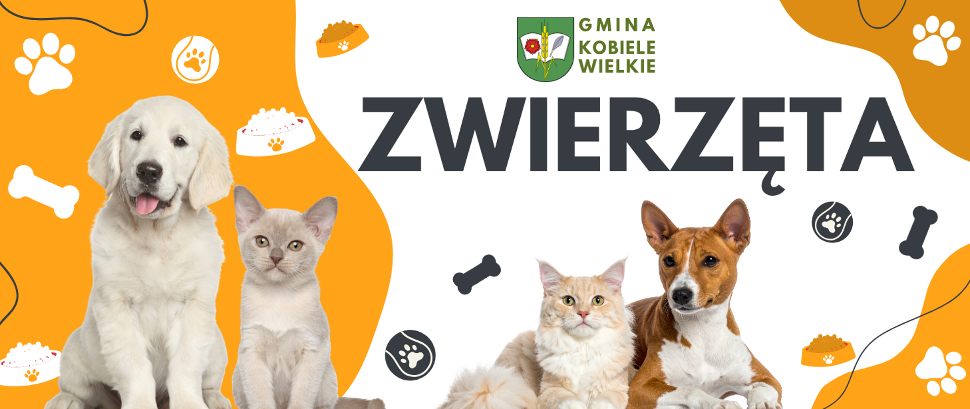 Baner informacyjny Gminy Kobiele Wielkie z napisem ZWIERZĘTA. Na pomarańczowo-białym tle ilustracje akcesoriów dla zwierząt - łapki, kości, miski z karmą, piłki. Po lewej biały szczeniak golden retriever i mały kot brytyjski, po prawej długowłosy kot rudy i brązowy pies. Na górze herb i napis Gmina Kobiele Wielkie.