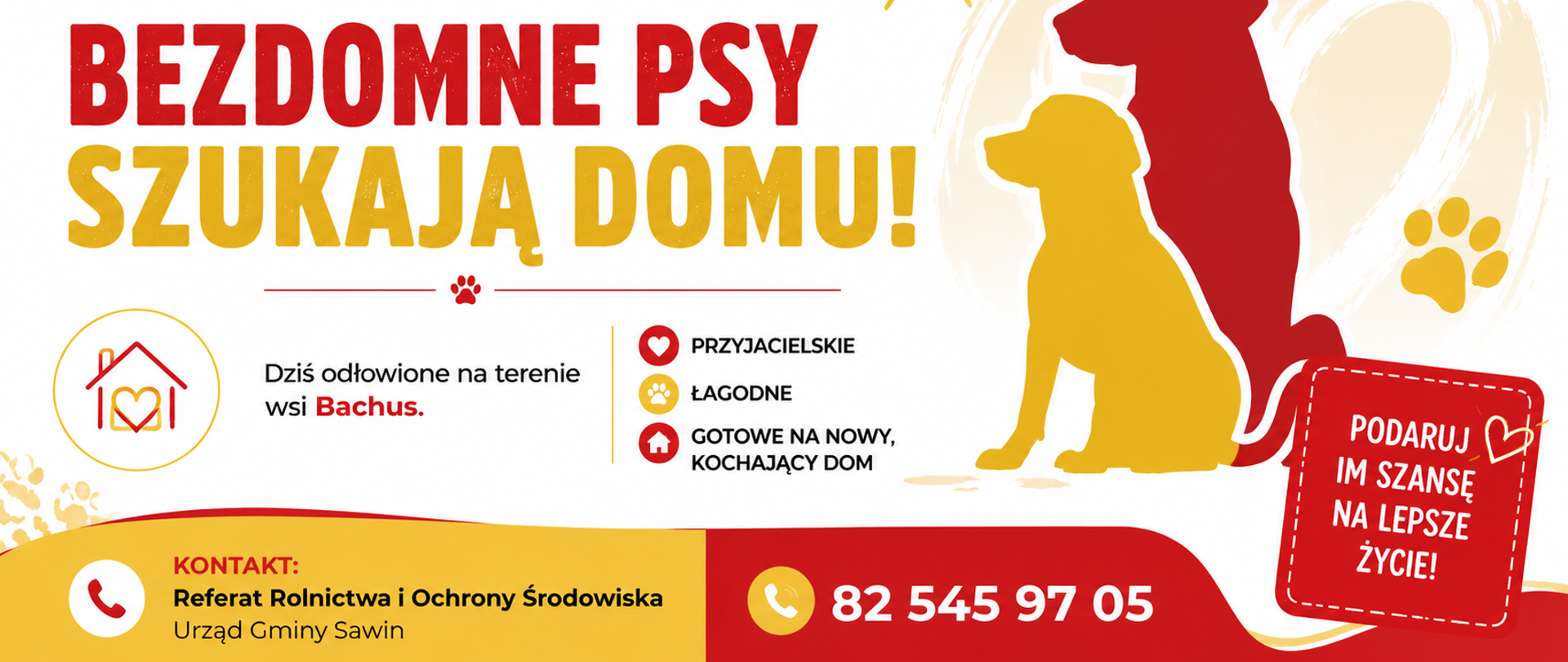 Bezdomne psy
