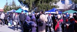 Jarmark na Kazimierza - 7.03.2024 w Mordach