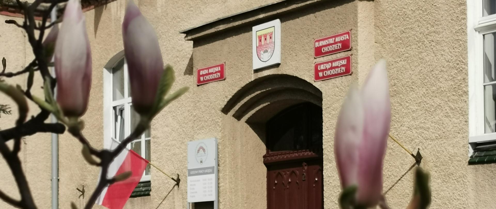 zdjęcie urzędu